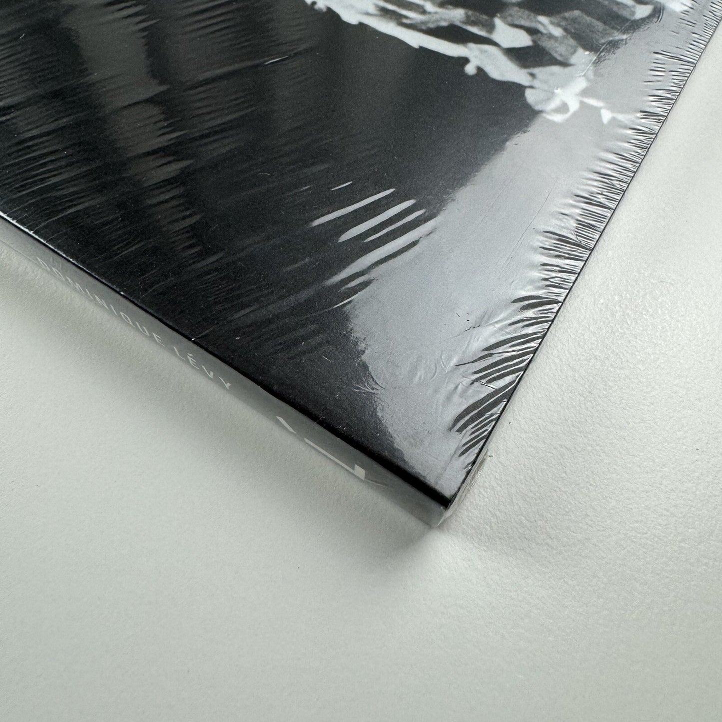 Senga Nengudi. The Back Room | Bradley Rizcana et al Dominque Lévy, 2016 catalogue