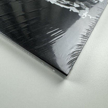 Senga Nengudi. The Back Room | Bradley Rizcana et al Dominque Lévy, 2016 catalogue