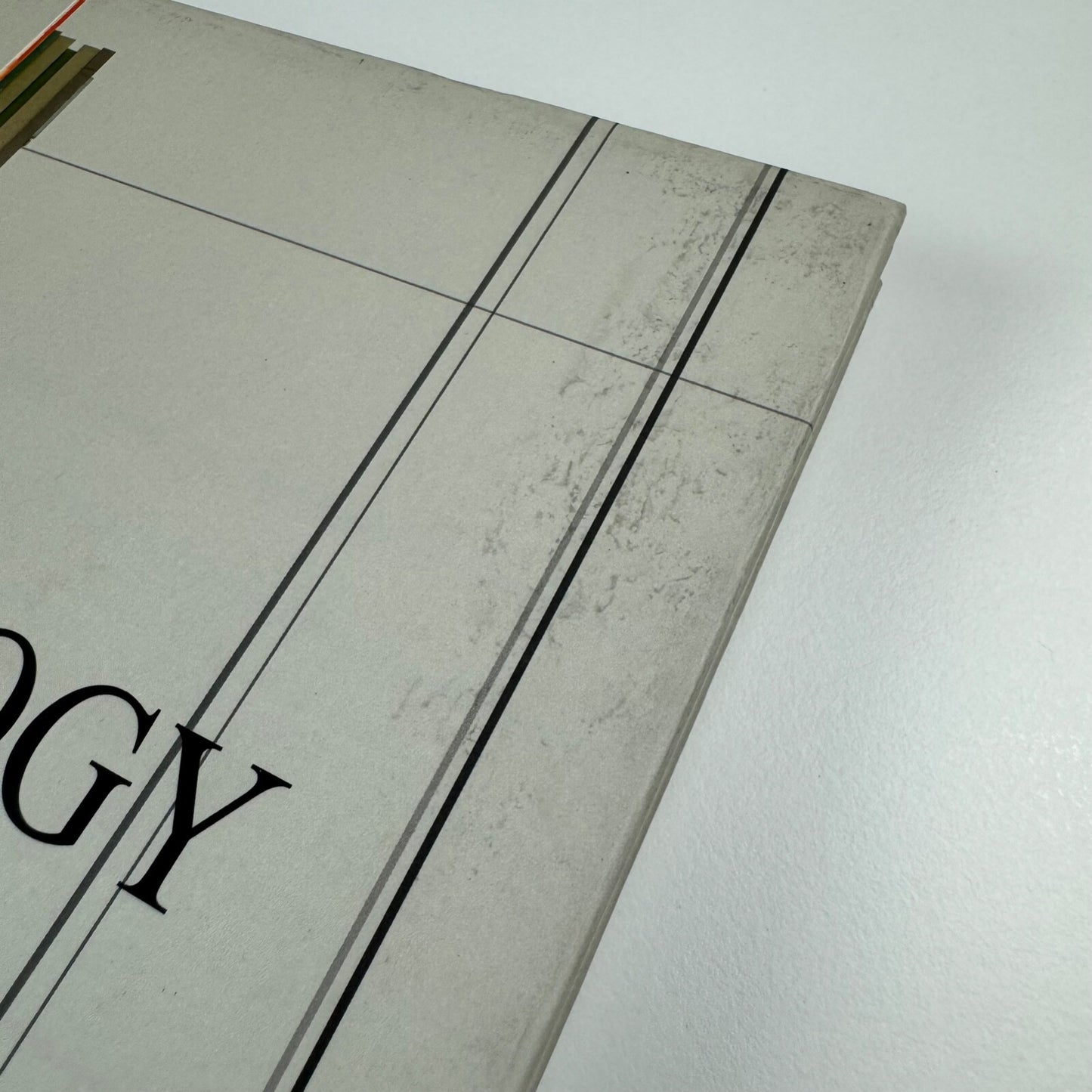 Liu Wei. Trilogy | Minsheng Art Museum/Charta | Long March Space 2011