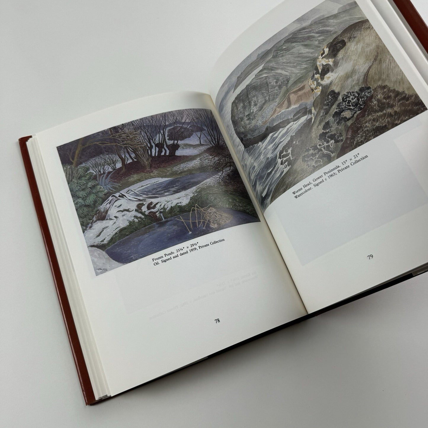 John Nash. ‘The delighted eye’ by Allen Freer | Scolar Press, 1993