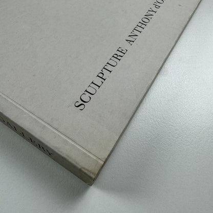 Sculpture – Anthony d’Offay Gallery | Spring 1995 catalogue