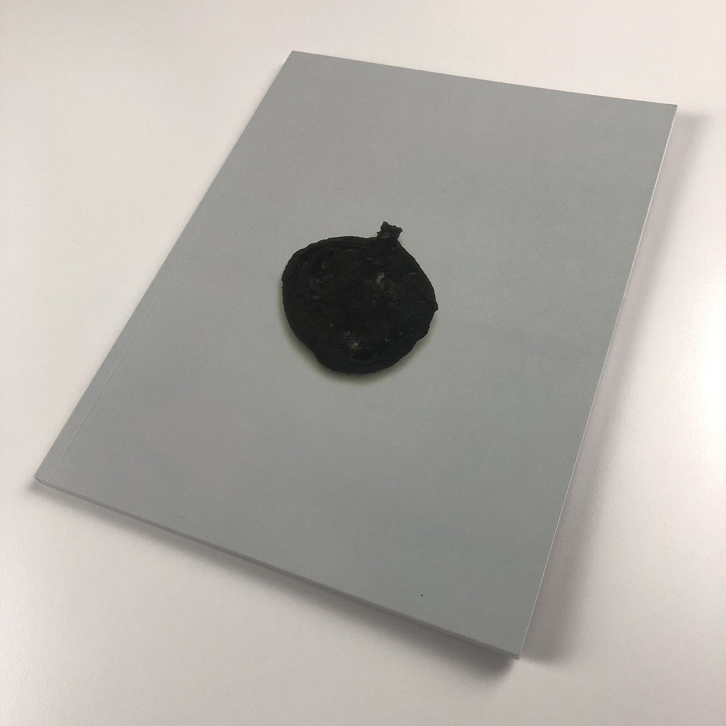Cornelia Parker: Avoided Object | Foreword by Stuart Cameron 1996