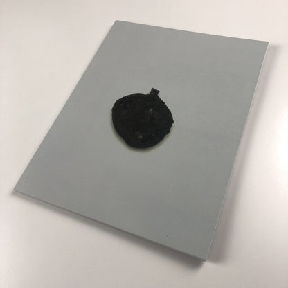 Cornelia Parker: Avoided Object | Foreword by Stuart Cameron 1996