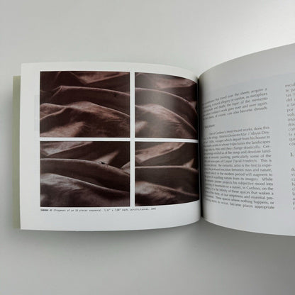 Pablo Cardoso. Traveling Instructions | dpm Gallery USA and Ecuador, 2006