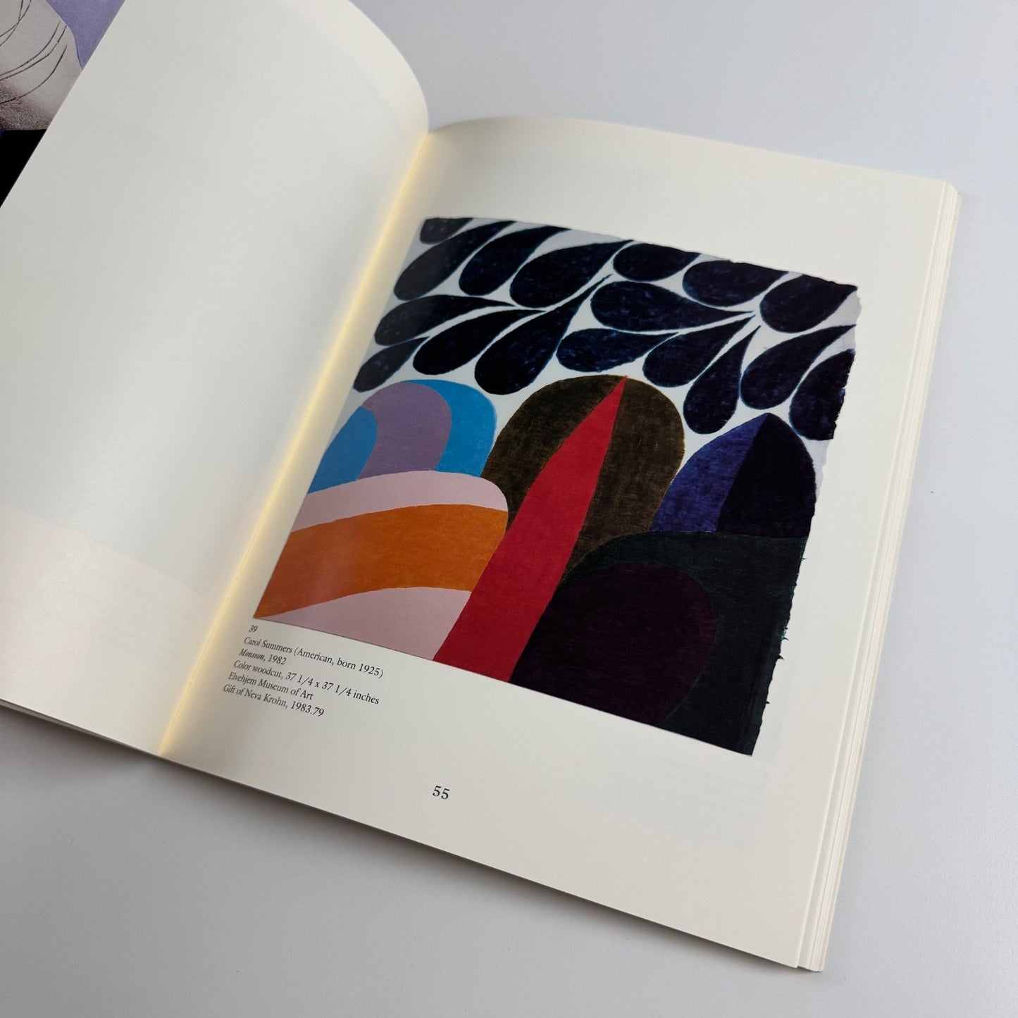 American color woodcuts. Bounty from the block Elvehjem Museum of Art 1993