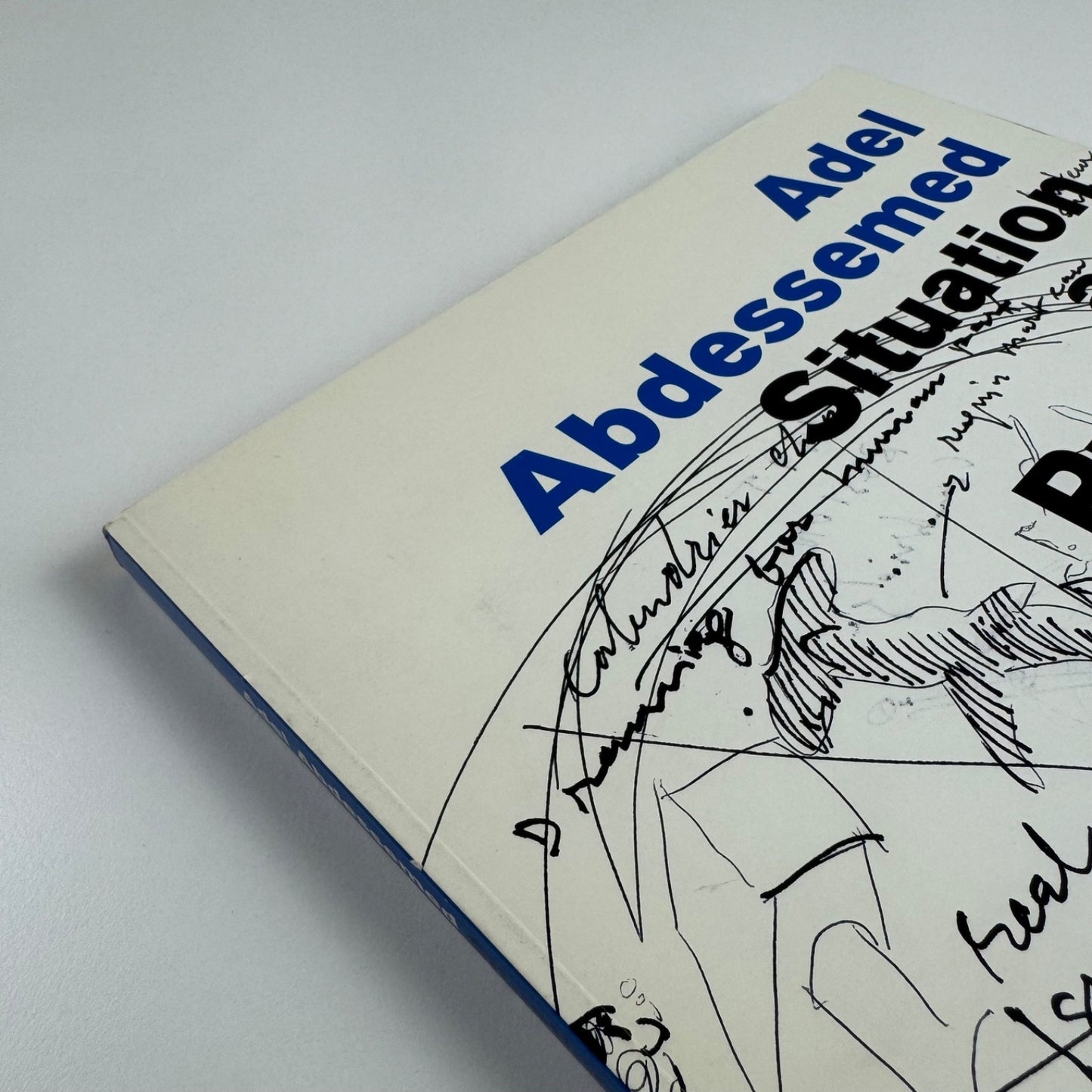 Adel Abdessemed. Situation and Practice | MIT List Visual Arts Center, Boston, 2009