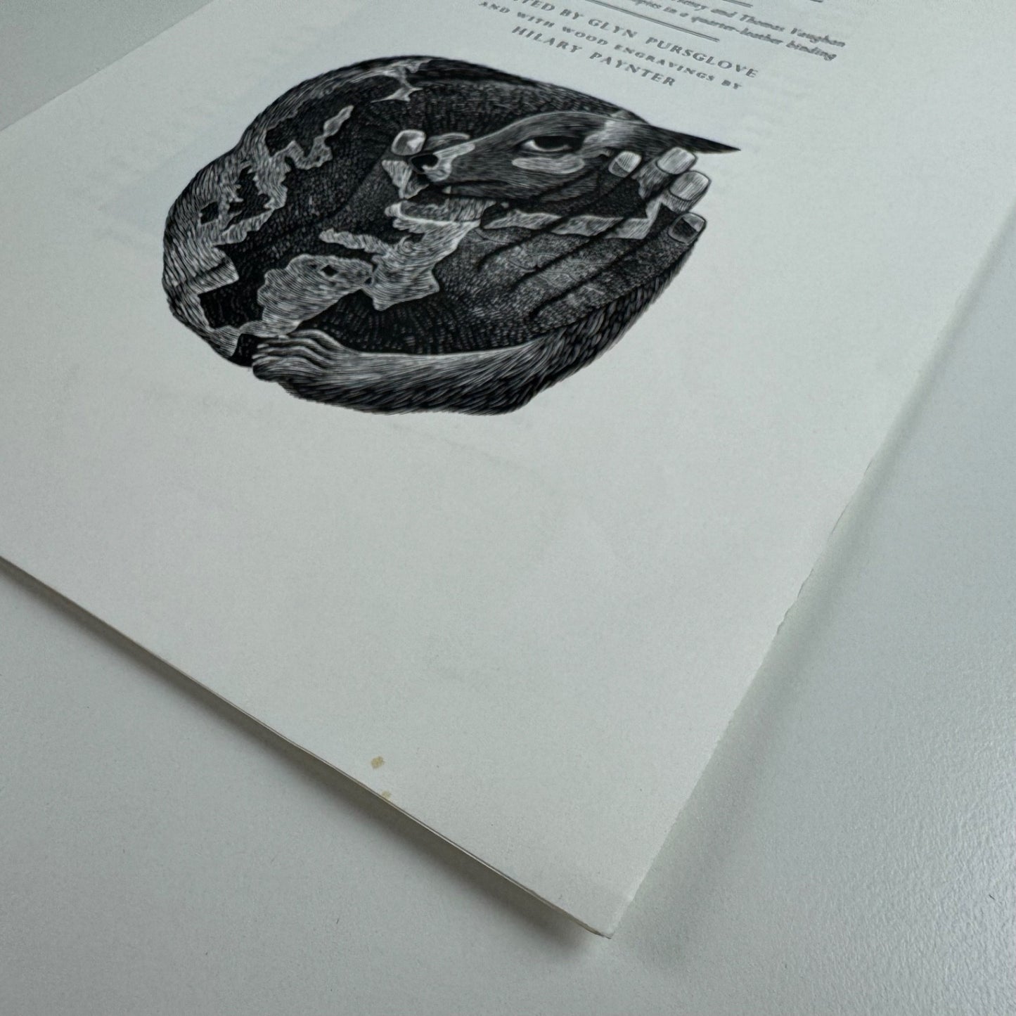 Prospectus for The Texture of the Universe edited by Glyn Pursglove wood engravings by Hilary Paynter Gregynog
