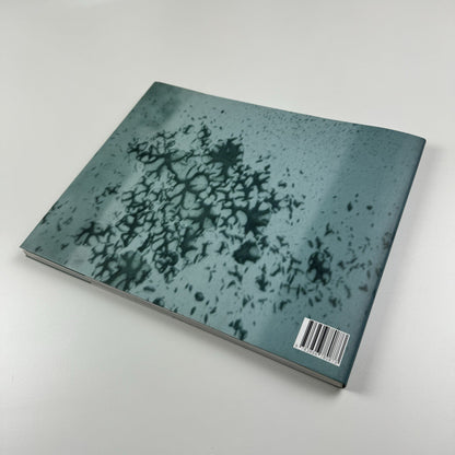 Miriam Vlaming. Vormorgen | Kerber, 2007 catalogue