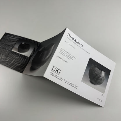 Folding card/PV invite David Roberts. The colours of black Lemon Street Gallery, 2016