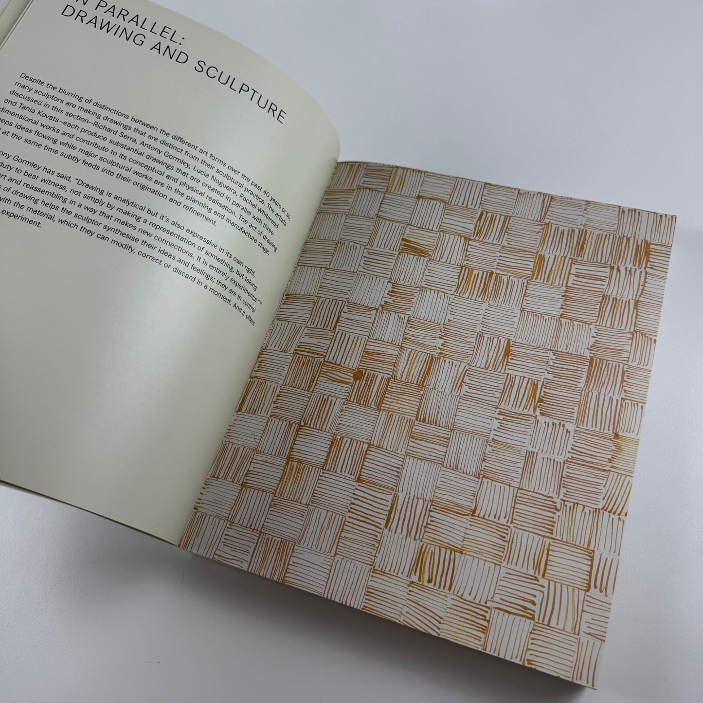 The Drawing Book. A survey of the primary means of expression ed Tania Kovats