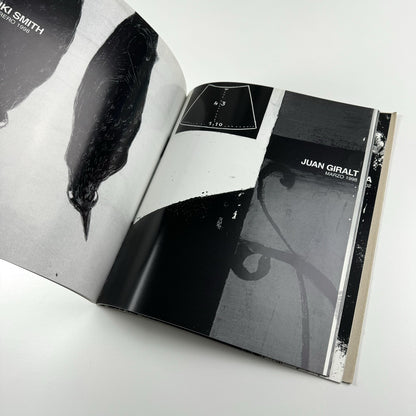 Copyright METTA. Francisco Calvo Serraller | Galeria Metta, Madrid, 2002 | Exhibition catalogue