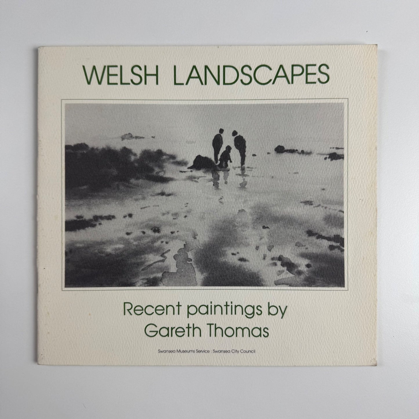 Welsh Landscapes. Recent paintings by Gareth Thomas | Glynn Vivian Art Gallery