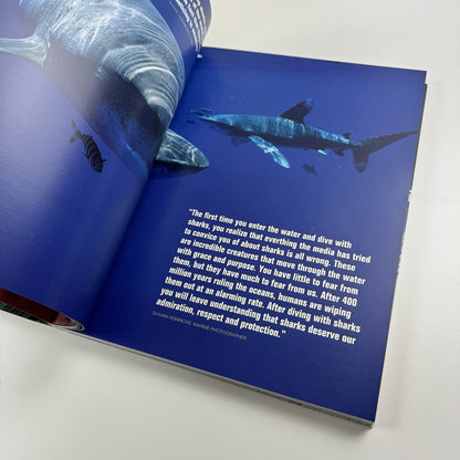 The 11th Hour. Leonardo di Caprio Foundation | Christie's New York catalogue, 13 May 2013