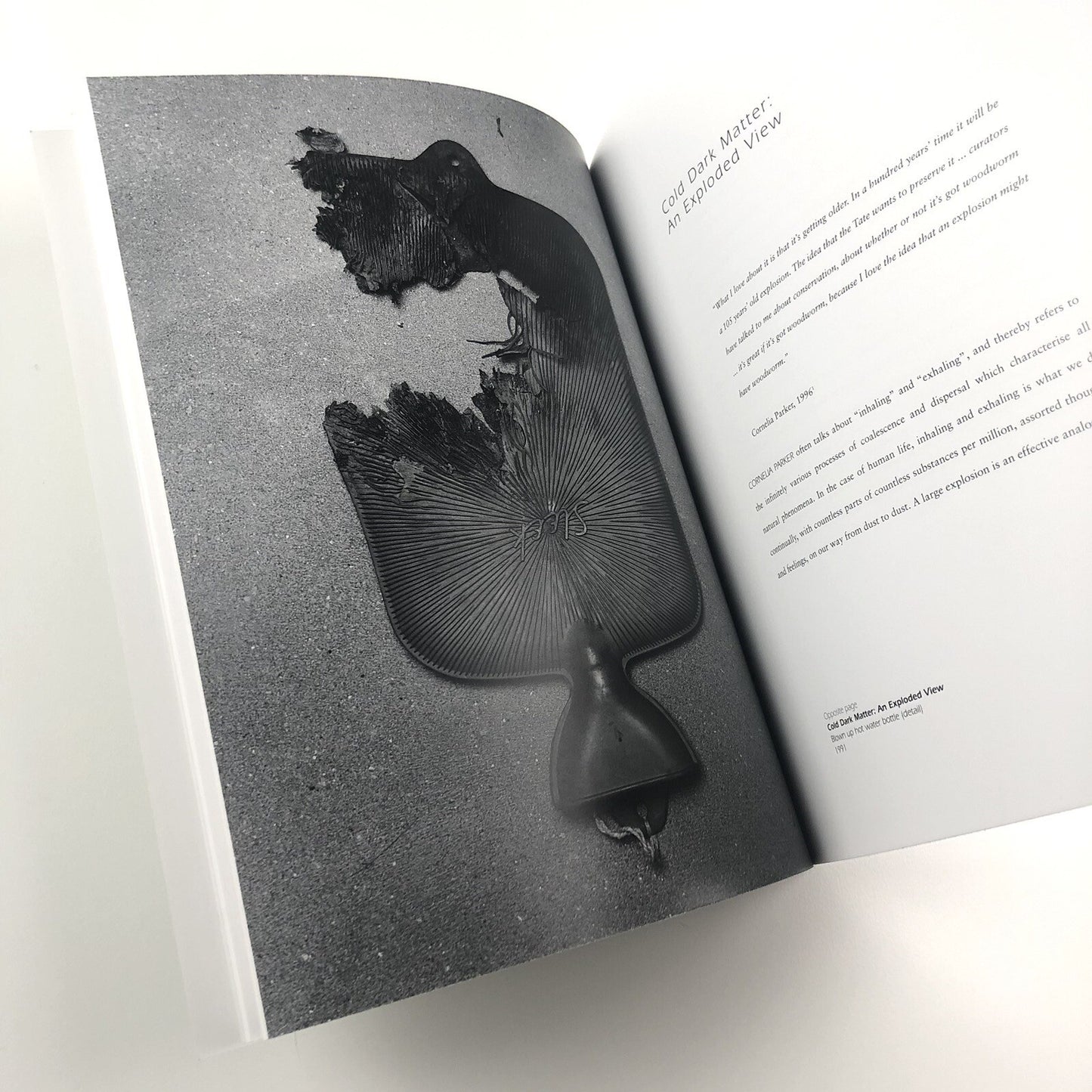 Cornelia Parker: Avoided Object | Foreword by Stuart Cameron 1996
