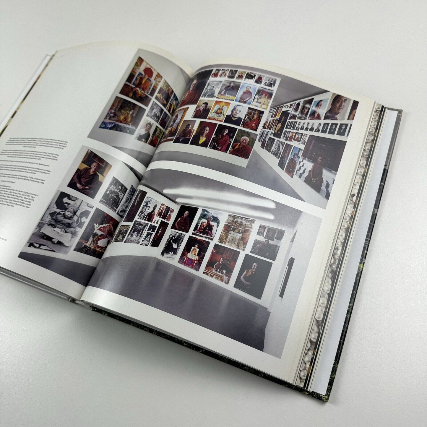 Paola Pivi. Massimiliano Gioni & Jens Hoffmann | Galerie Perrotin, 2013