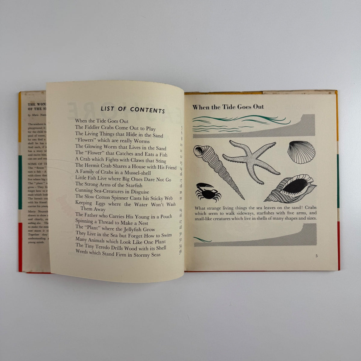 The Wonder World of the Seashore Marie Neurath, Max Parrish second edition Isotype Institute