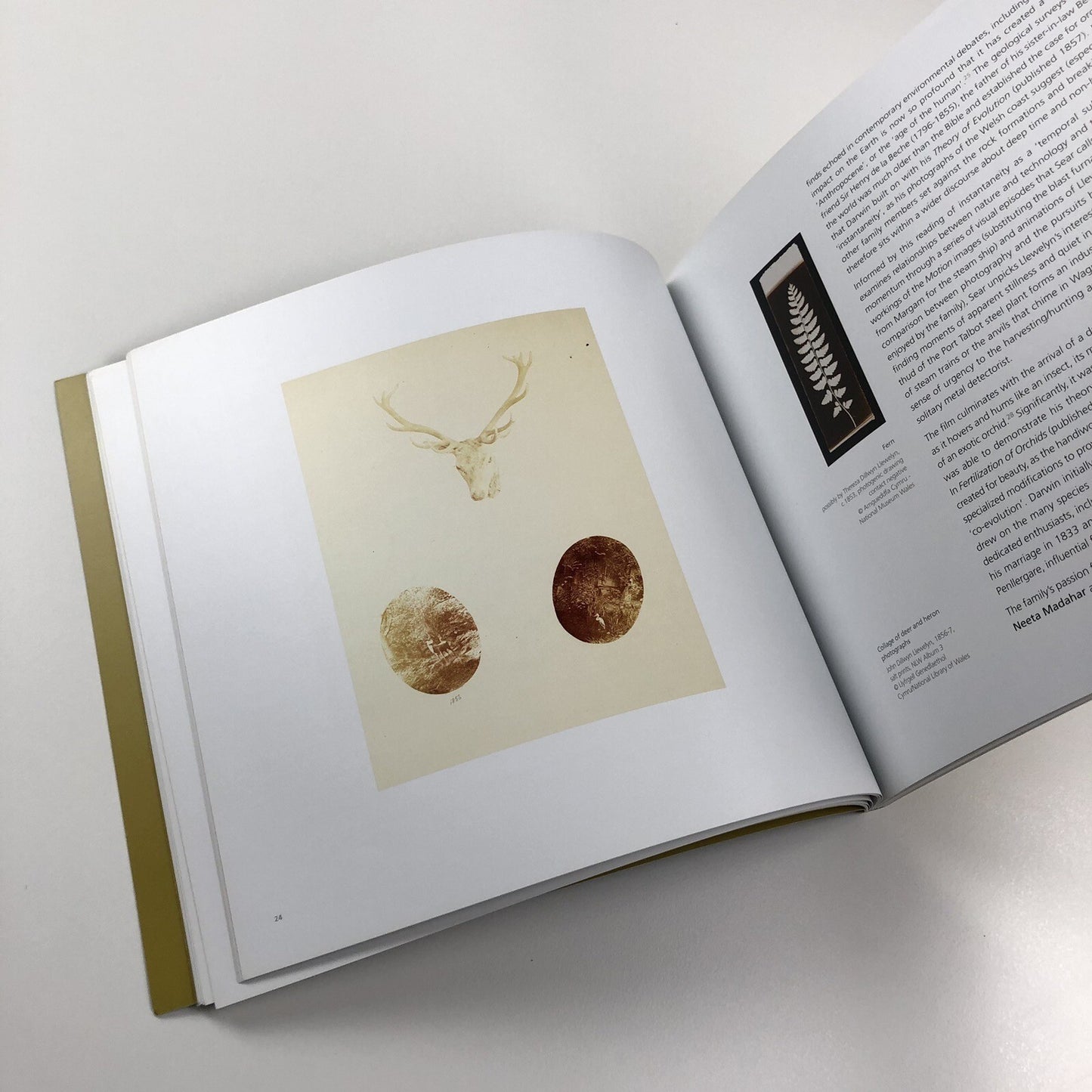 The Moon and a Smile | Glynn Vivian Art Gallery exhibition catalogue, 2017