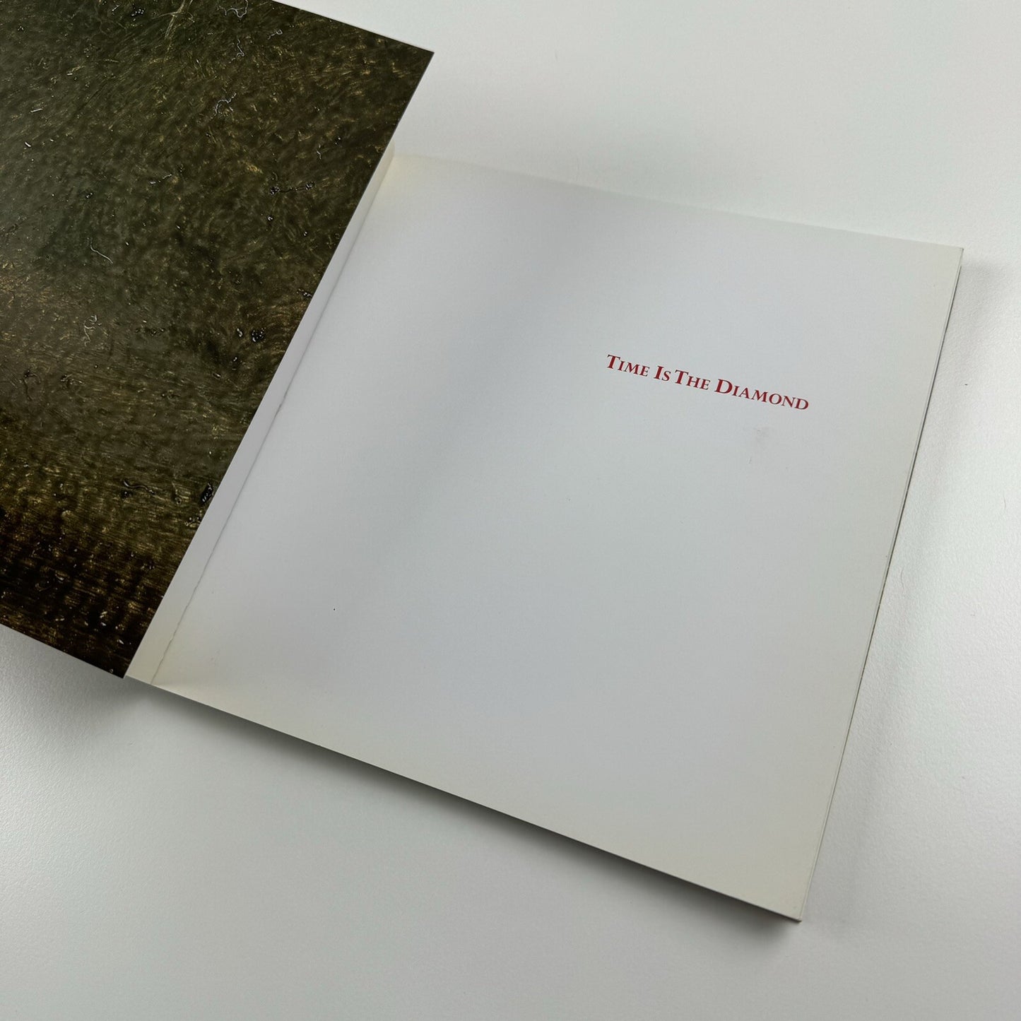 Christopher Orr. Time is the Diamond | ArtSway University College Bournemouth, 2010 catalogue