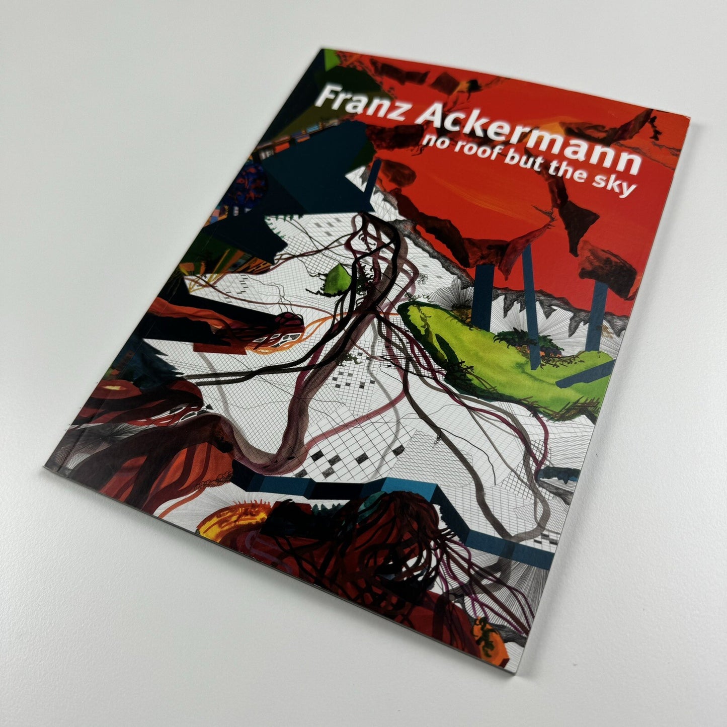 Franz Ackermann no roof but the sky | Neugerriemschneider, 2010 catalogue