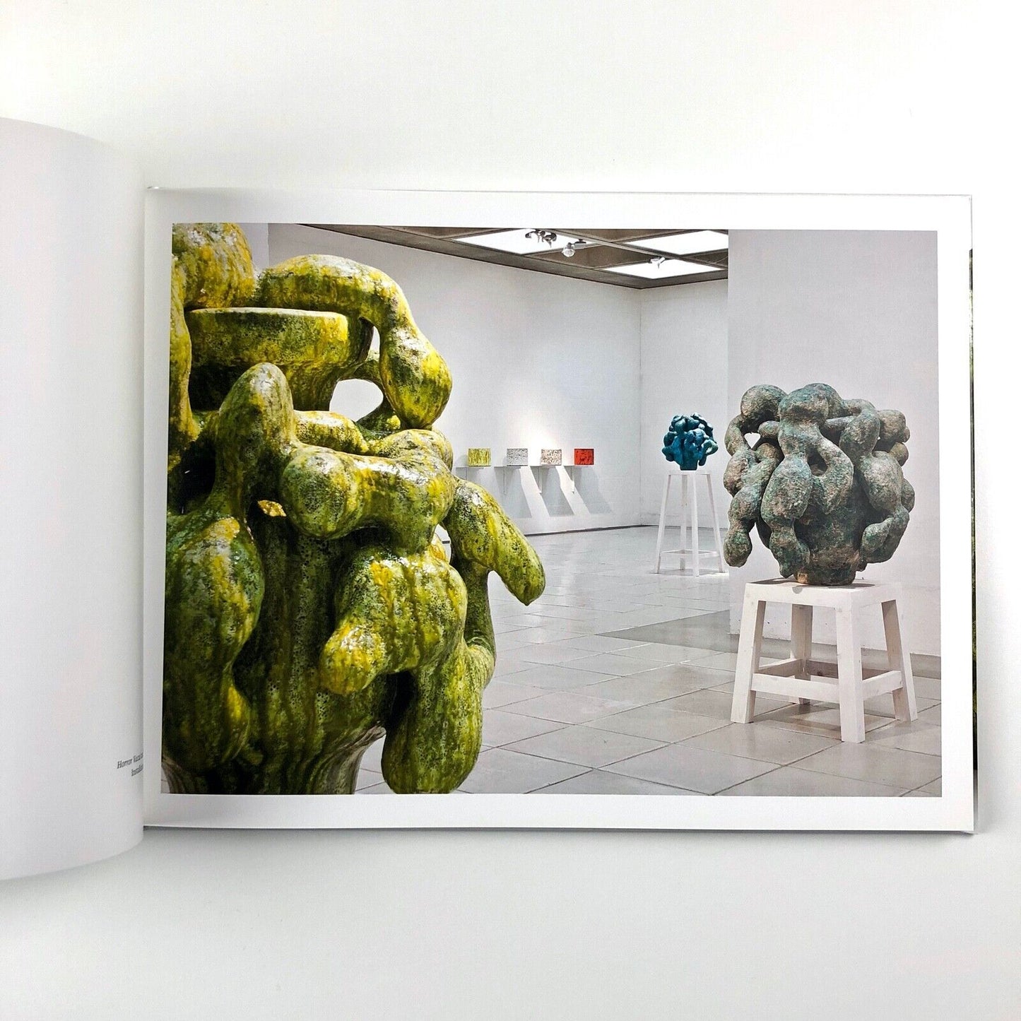 Horror Vacui | Morten Løbner Espersen | Trapholt Art Museum 2012