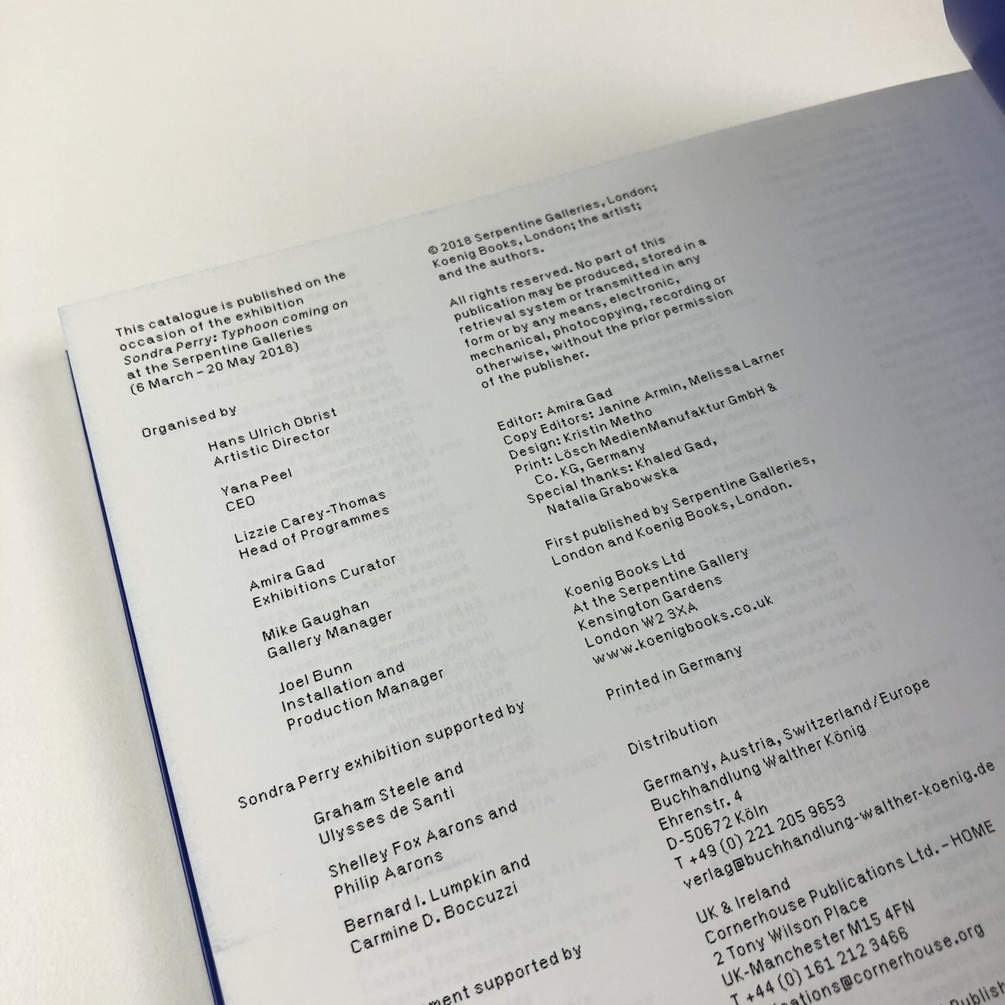 Sondra Perry. Typhoon Coming On | Serpentine Galleries exhibition catalogue, 2018