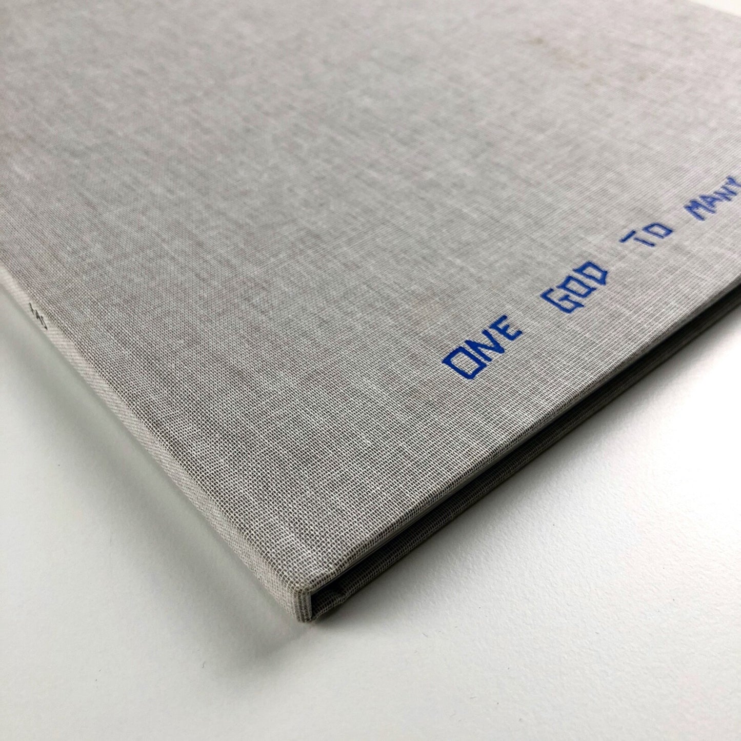 Steve Goddard: One God To Many Devils | FAS Contemporary catalogue, 2011
