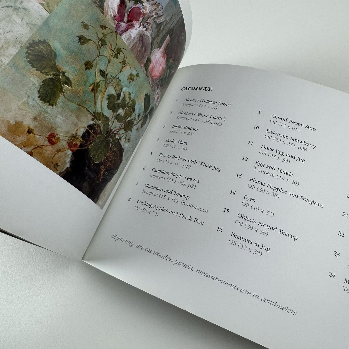 Emily Patrick – Recent Paintings 2002-2005 | The Air Gallery catalogue, 2005