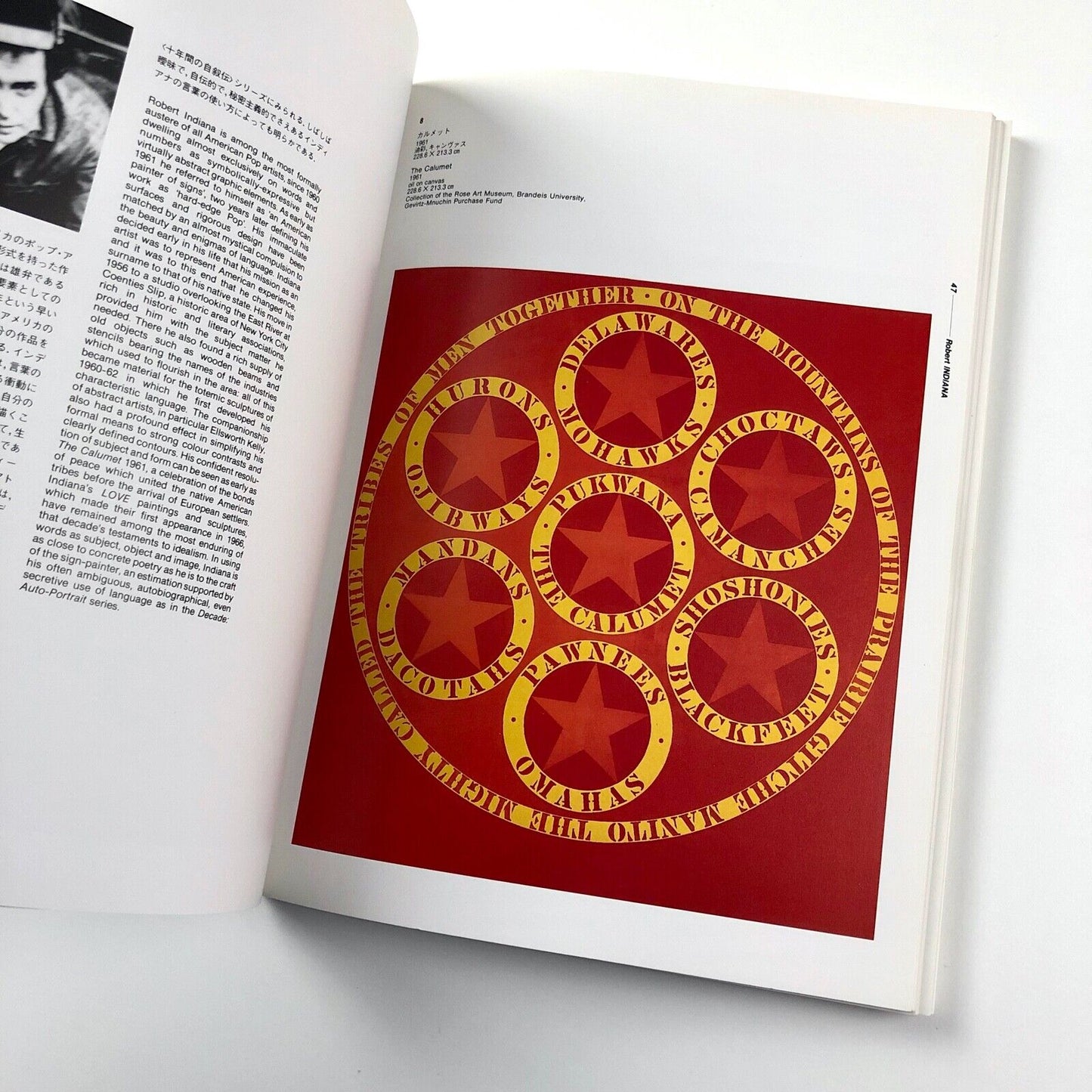 Pop Art: USA–UK | 1987 travelling Japanese exhibition | Lawrence Alloway