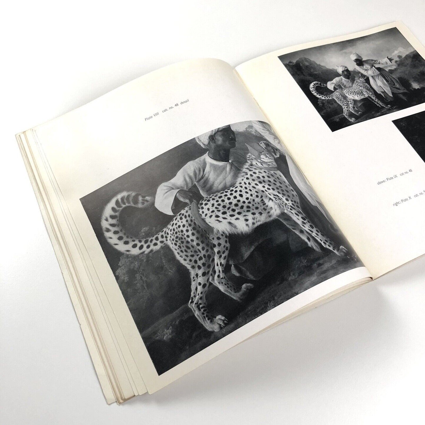 George Stubbs paintings drawings & engravings | Whitechapel Art Gallery catalogue, 1957