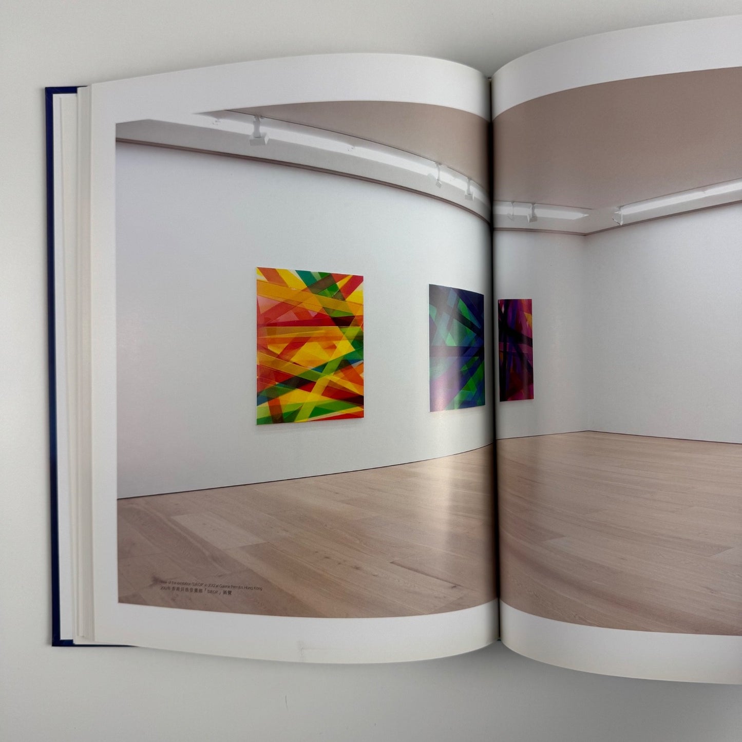 Peter Zimmermann | Galerie Perrontin, Damiani, 2013
