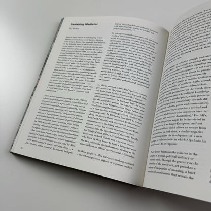 Francis Alÿs: A Story of Deception | Klaus Biesenbach & Mark Godfrey | Tate, 2010