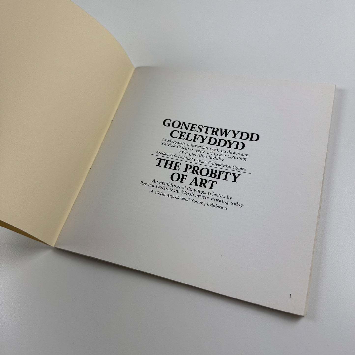 GONESTRWYDD CELFYDDYD / The Probity of Art drawings selected by Patrick Dolan Welsh Arts Council 1980