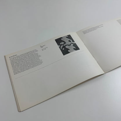 Arts Council Collection 1967-68 | Paintings bought by Alan Bowness & Robyn Denny | Arts Council touring exhibition 1969-73