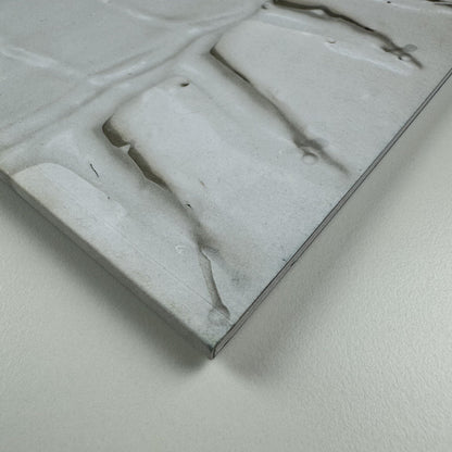 Alex Hoda. Opening up the Inside | Gantry Projects, London, 2009 catalogue