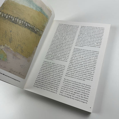 Francis Alÿs: A Story of Deception | Klaus Biesenbach & Mark Godfrey | Tate, 2010