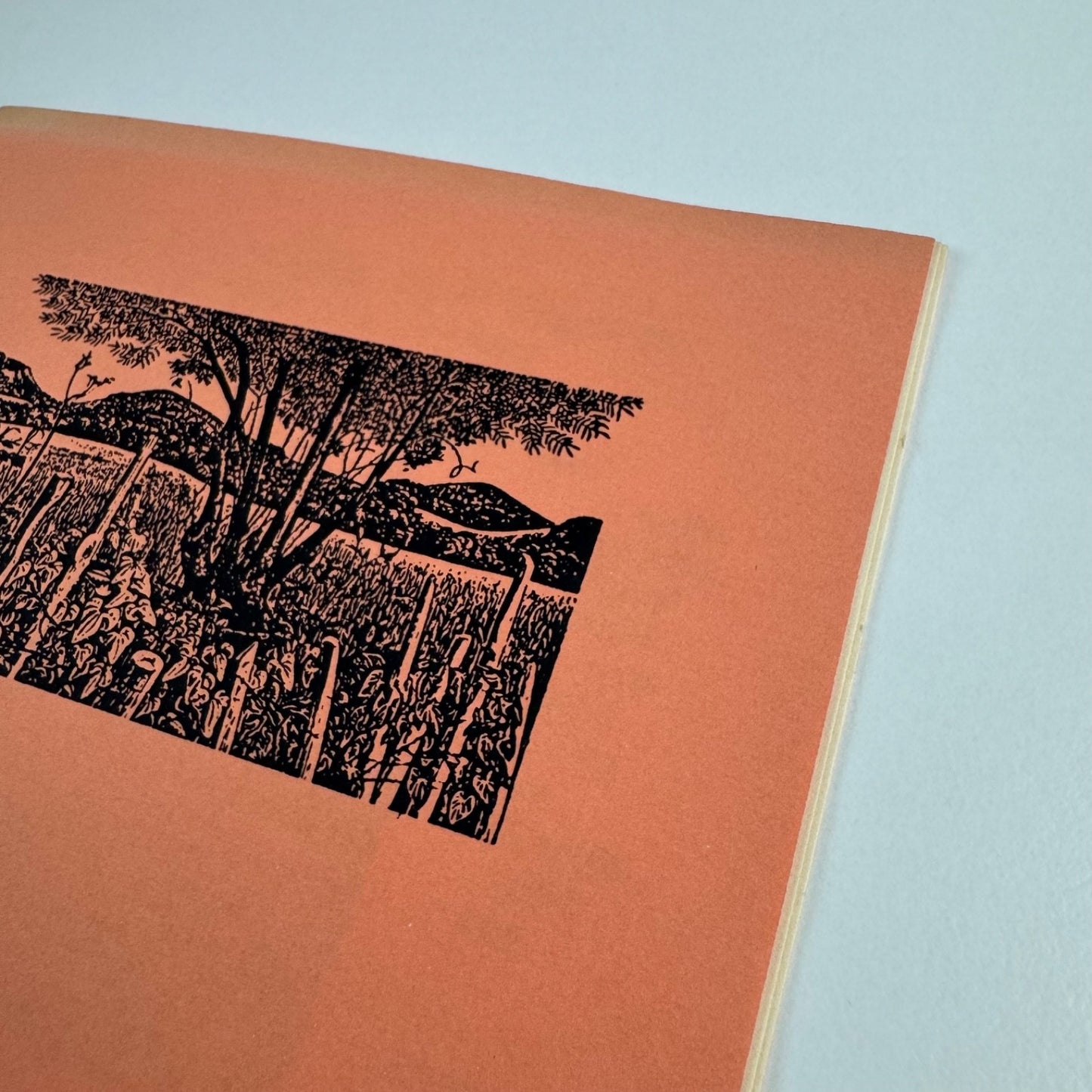 Pilgrims Way English Wood Engravers of the Twentieth Century | Mendenhall Art Gallery.Whittier College, California, 1994