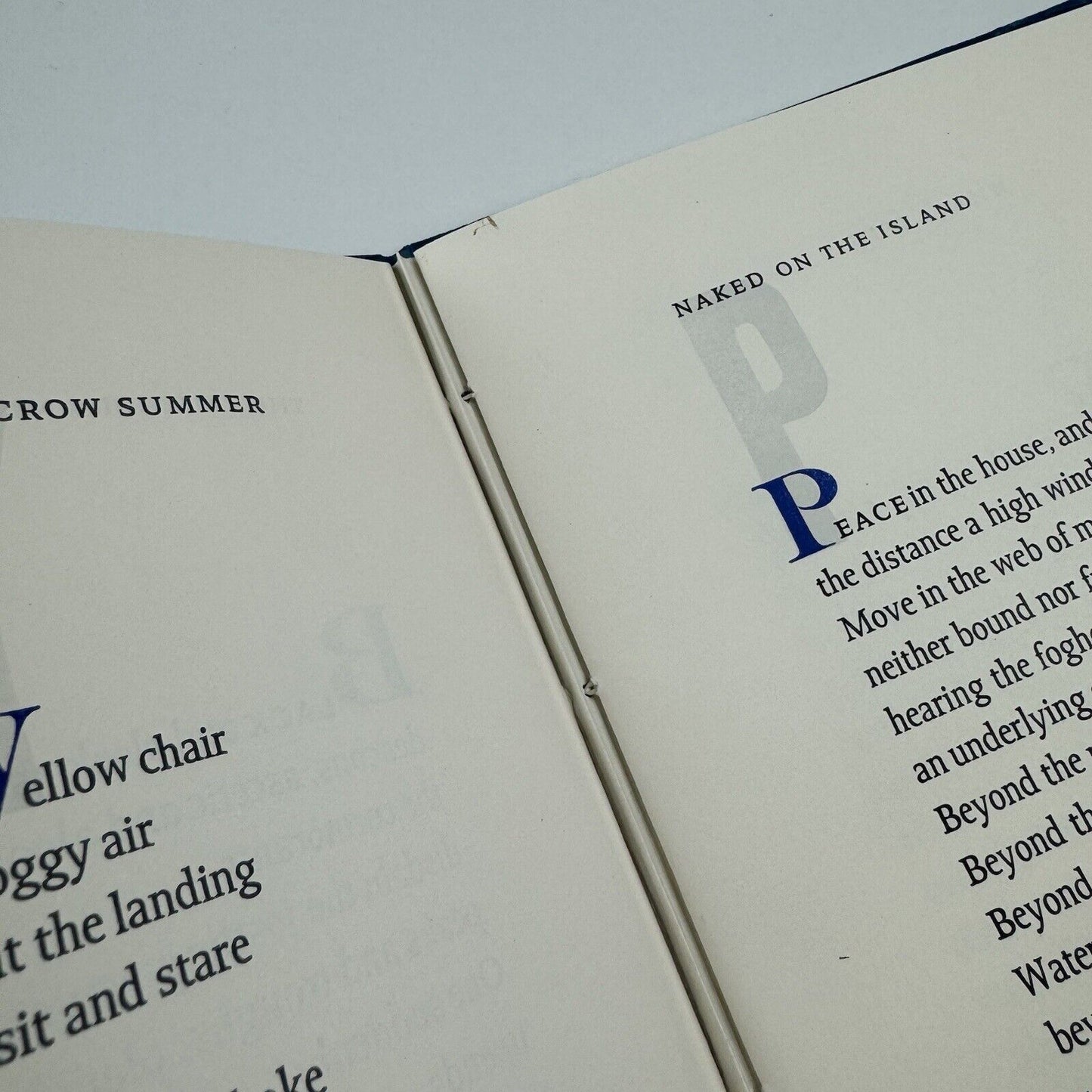 Bell Buoys. Poems by Jan Schreiber | William Rueter, The Aliquando Press, Toronto, 1998 | edition of 100 this being no. 54