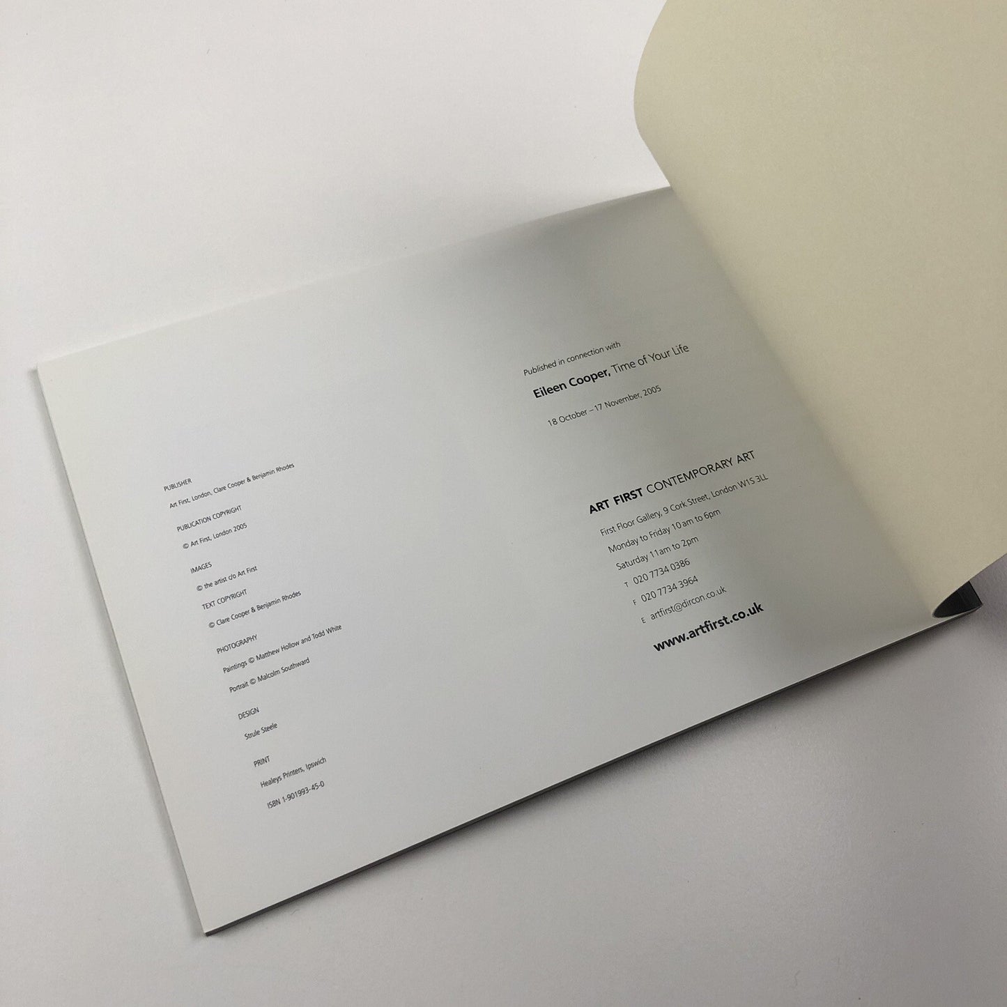 Eileen Cooper – Time of Your Life | Art First Contemporary Art exhibition catalogue, 2005