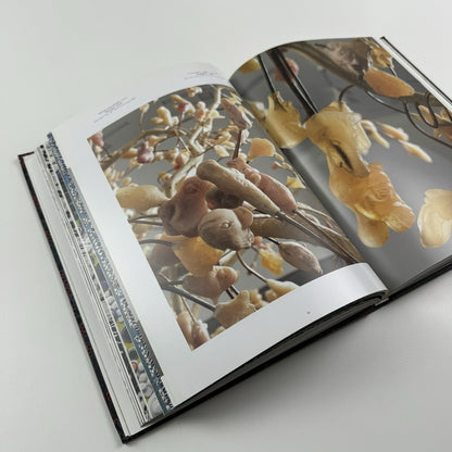 Bharti Kher – Blind, eyes open | Galerie Perrotin 2012 catalogue