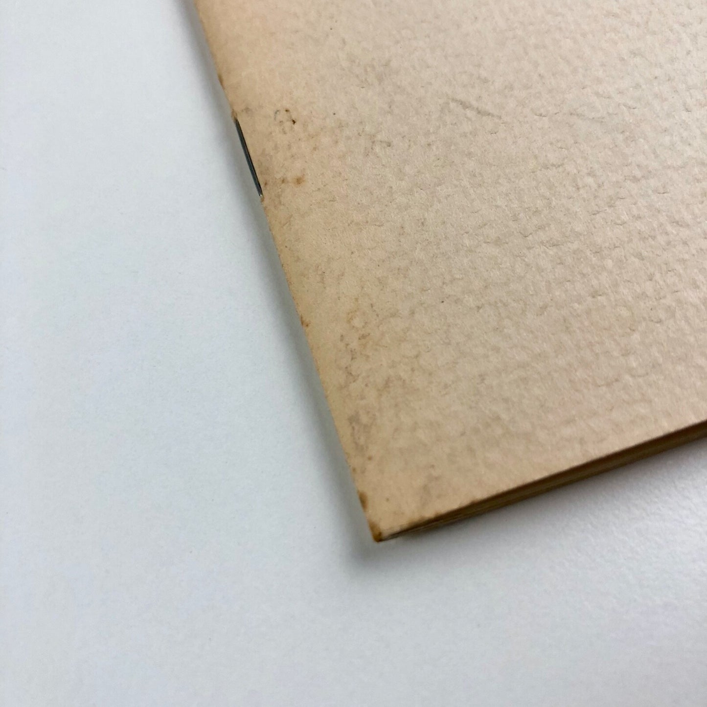David Taborn – Paintings & Drawings | Nottingham University, Bluecoat Gallery 1981 | Catalogue and related ephemera