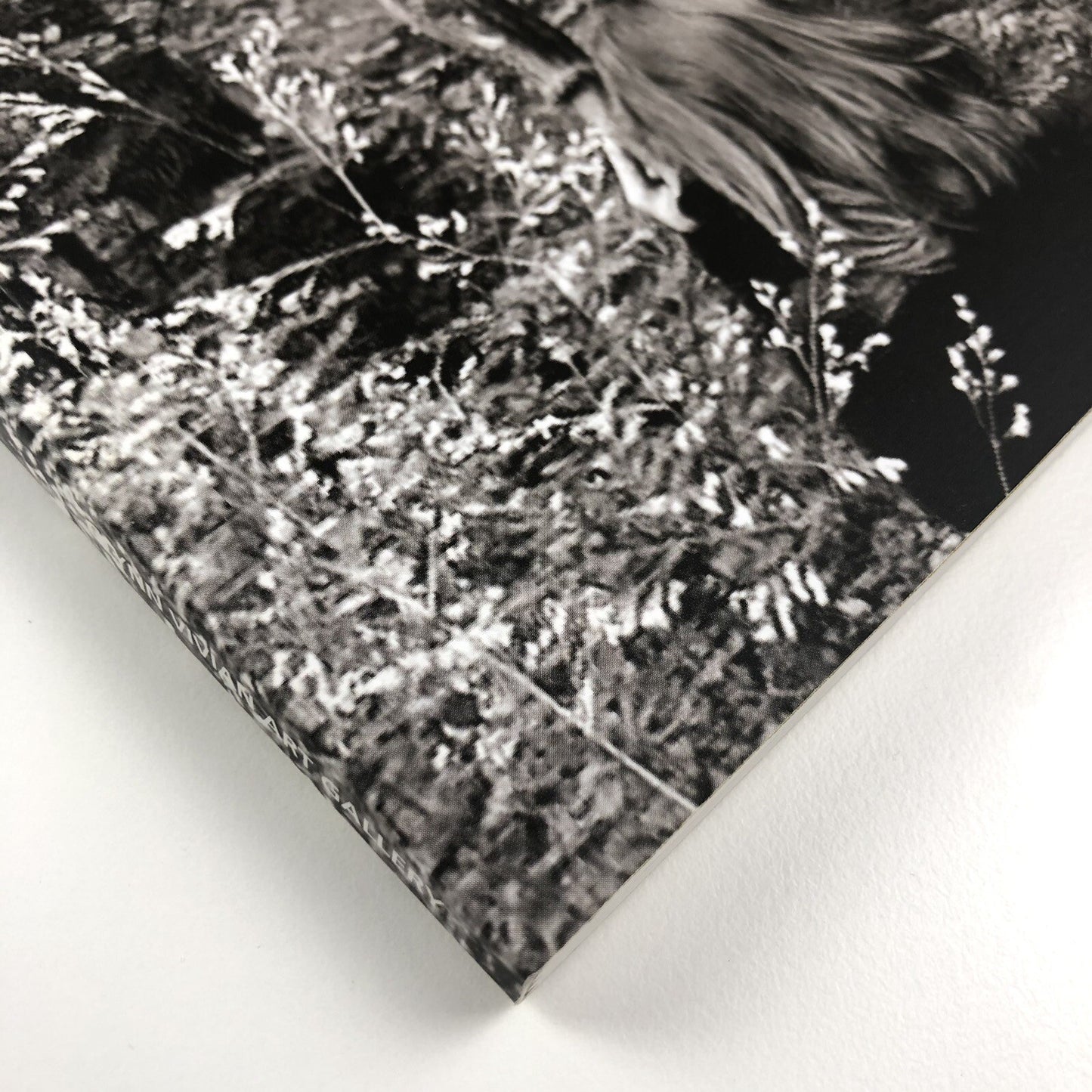The Moon and a Smile | Glynn Vivian Art Gallery exhibition catalogue, 2017