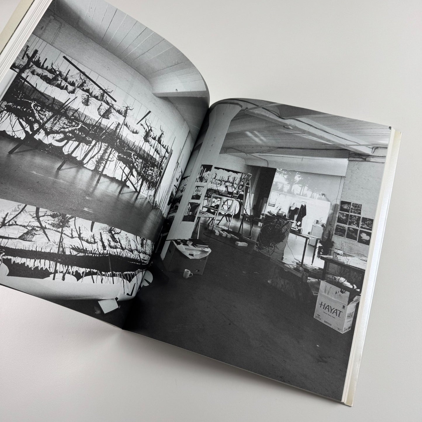Yehudit Sasportas. The Laboratory | Kunstverein Braunschweig, 2008