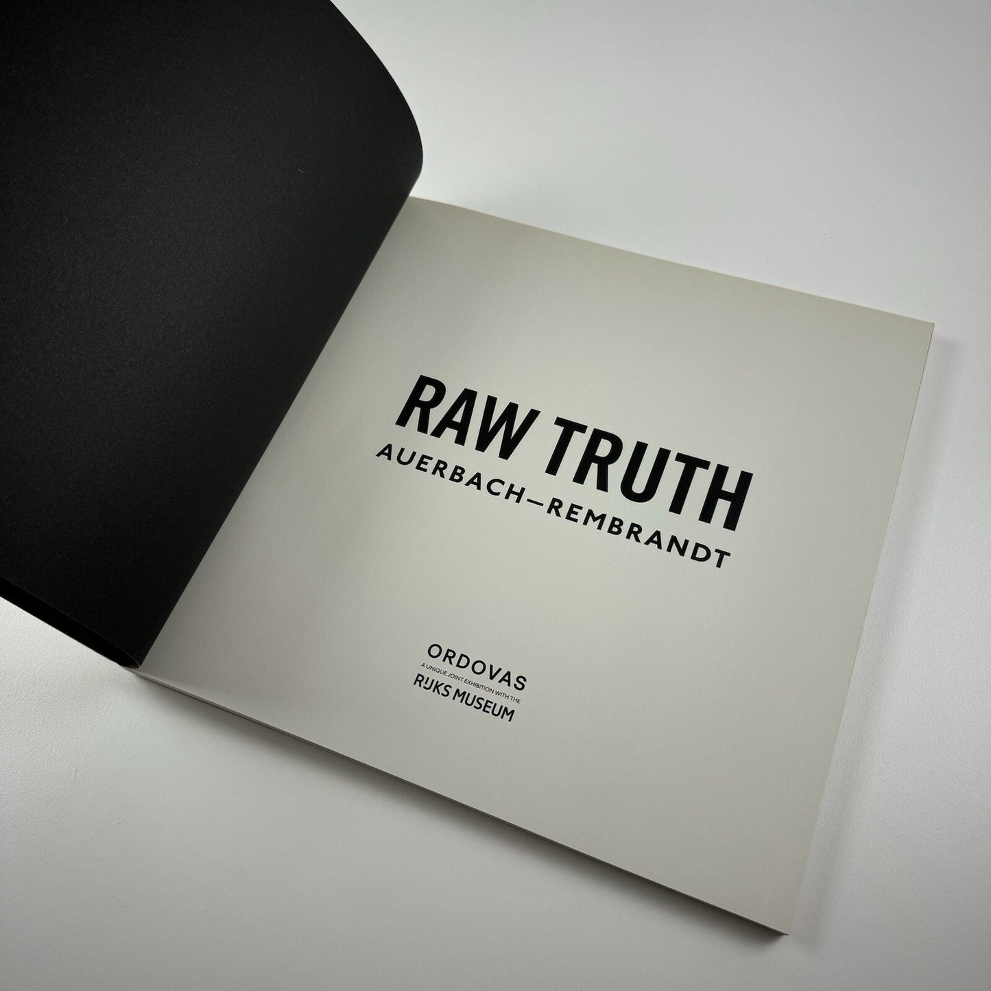 Raw Truth: Auerbach-Rembrandt | Ordovas & Rijksmuseum 2013/14