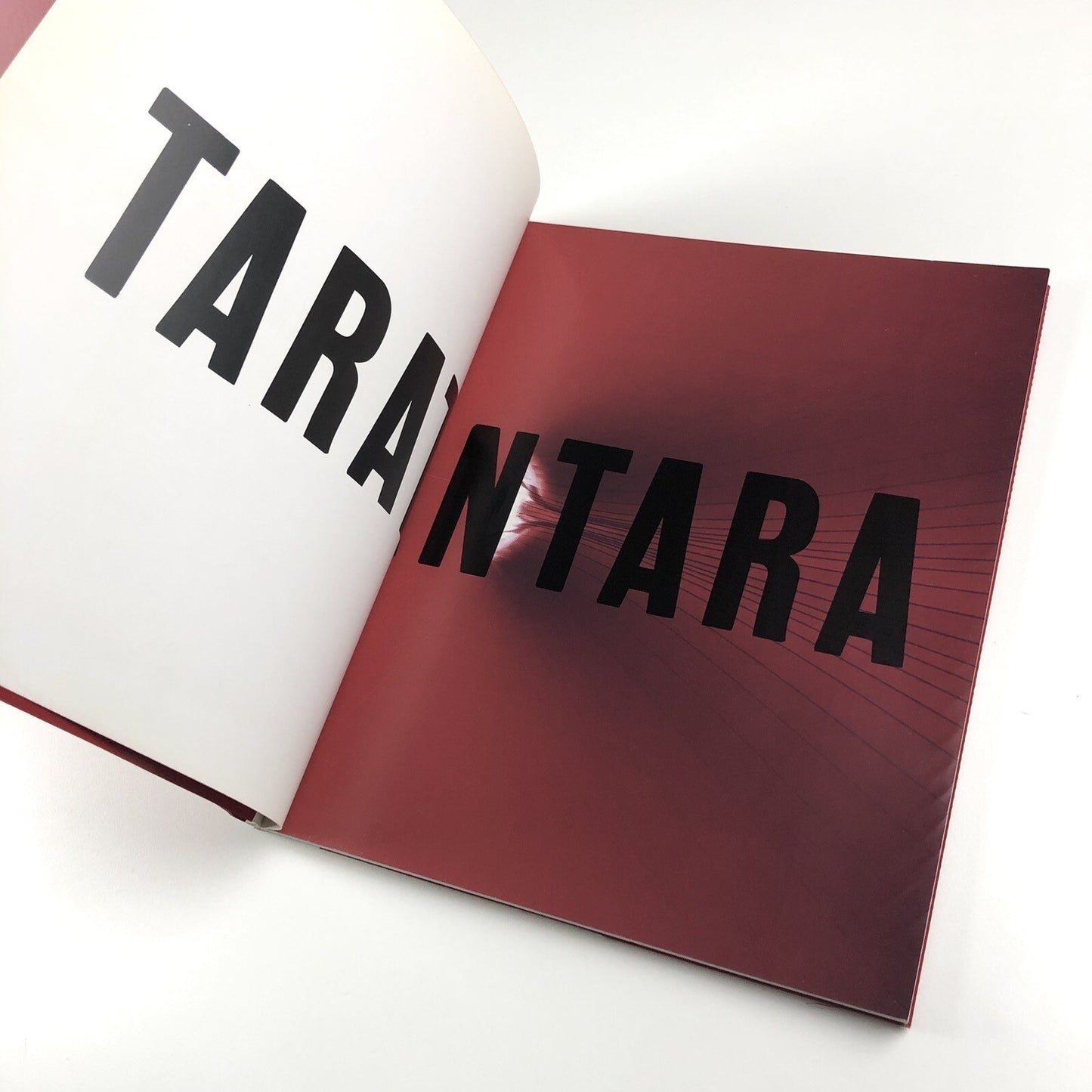 Anish Kapoor – Taratantara | Baltic Centre for Contemporary Art / Actar catalogue, 2000