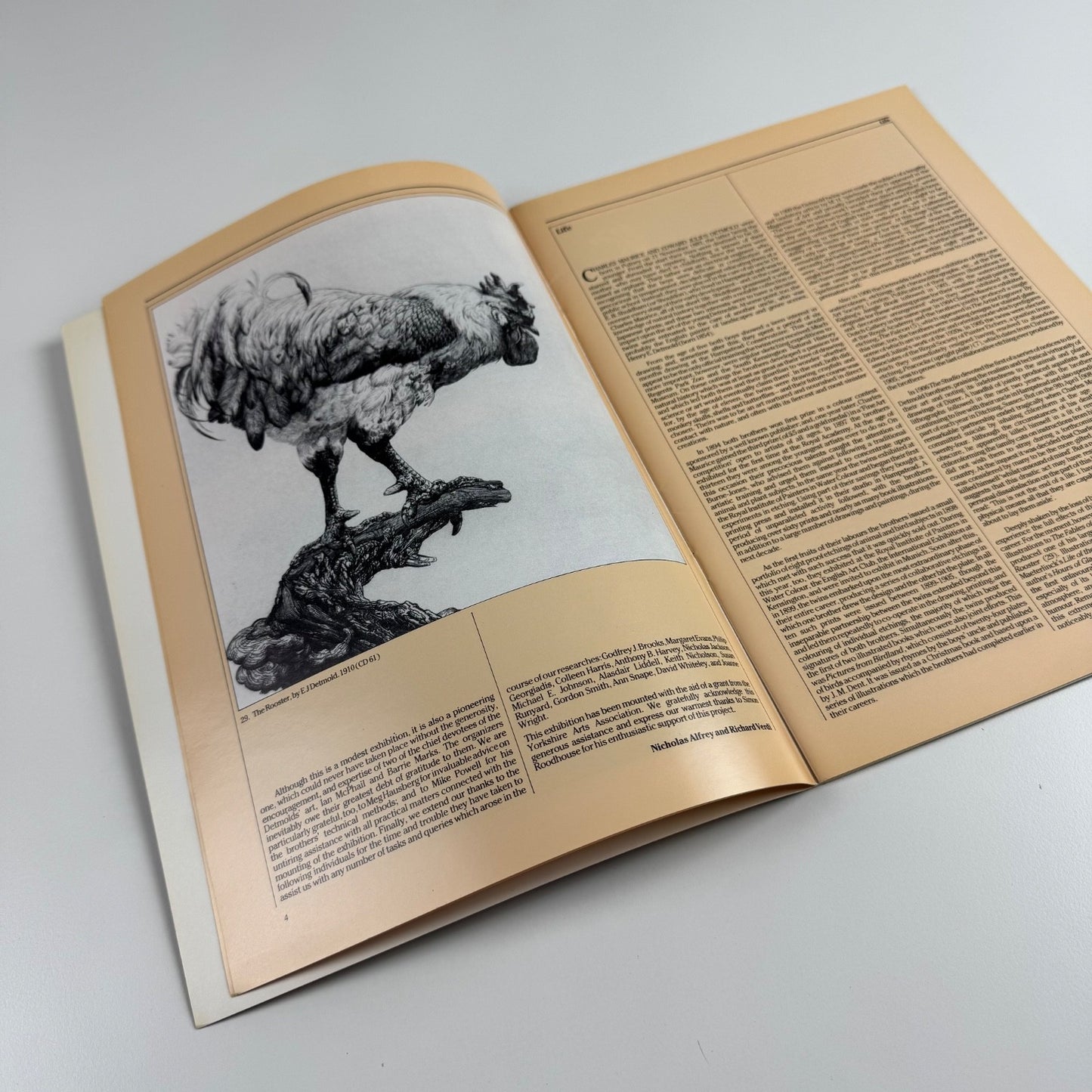 Charles Maurice and Edward Julius Detmold by Nicholas Alfrey & Richard Verdi | Heslington Hall, 1983/4
