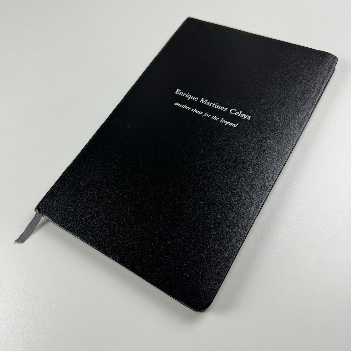 Enrique Martínez Celaya: Another Show for the Leopard Baldwin Gallery | 2007 exhibition catalogue