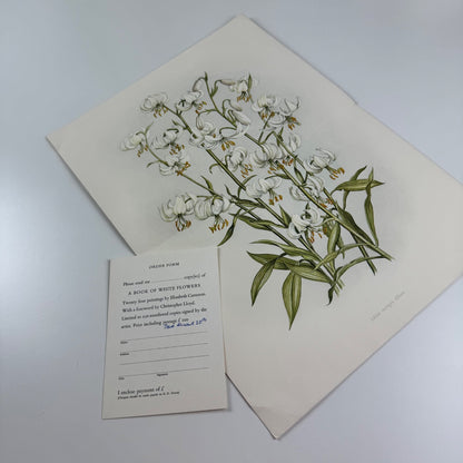 Prospectus for A Book of White Flowers by Elizabeth Cameron K.D. Duval 1980