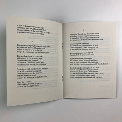 Significant Wreckage. Mir Poets Six by Iain Sinclair | Words Press, 1988 | signed 23/75