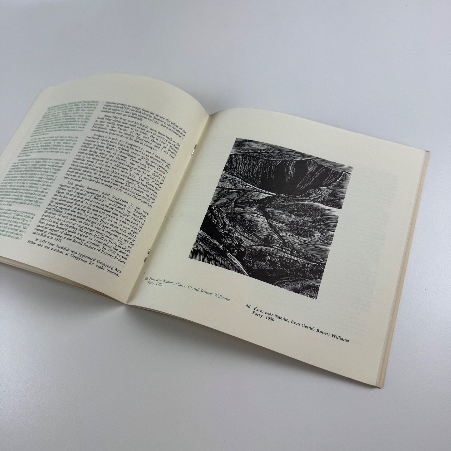 Peter Reddick. Gregynog Fellow 1979-80 | Welsh Arts Council, 1981