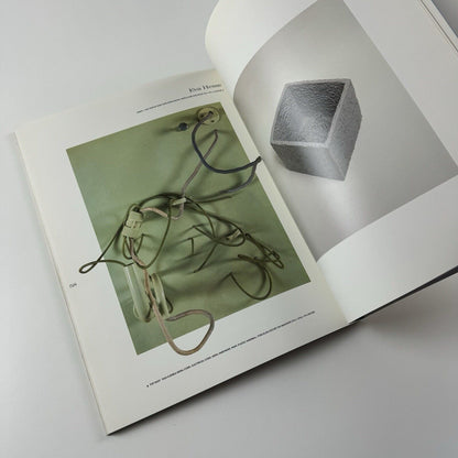 American Masters of the 60’s | Tony Schafrazi Gallery, New York, 1990 | curatorial advisor Sam Hunter